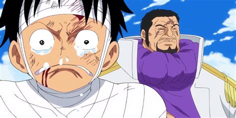 fujitora i wish i hadn't blinded myself episode|One Piece's Dub Makes One of the Series' Best Moments Even .